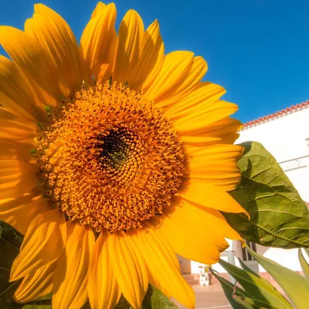 Residencia Quinta Do Poco Penzion