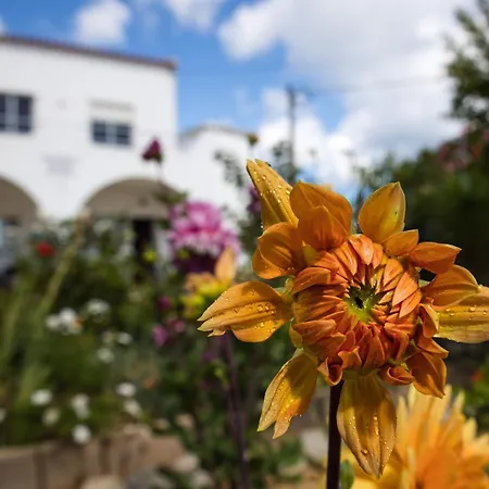 Residencia Quinta Do Poço