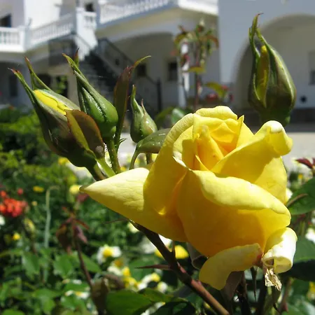 Residencia Quinta Do Poco